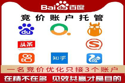 sem竞价托管代运营的五大经典案例